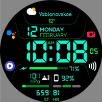 Chester Inform MOD LCD